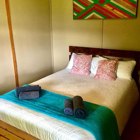 Pura Vida Forest Cabin Witelsbos 외부 사진