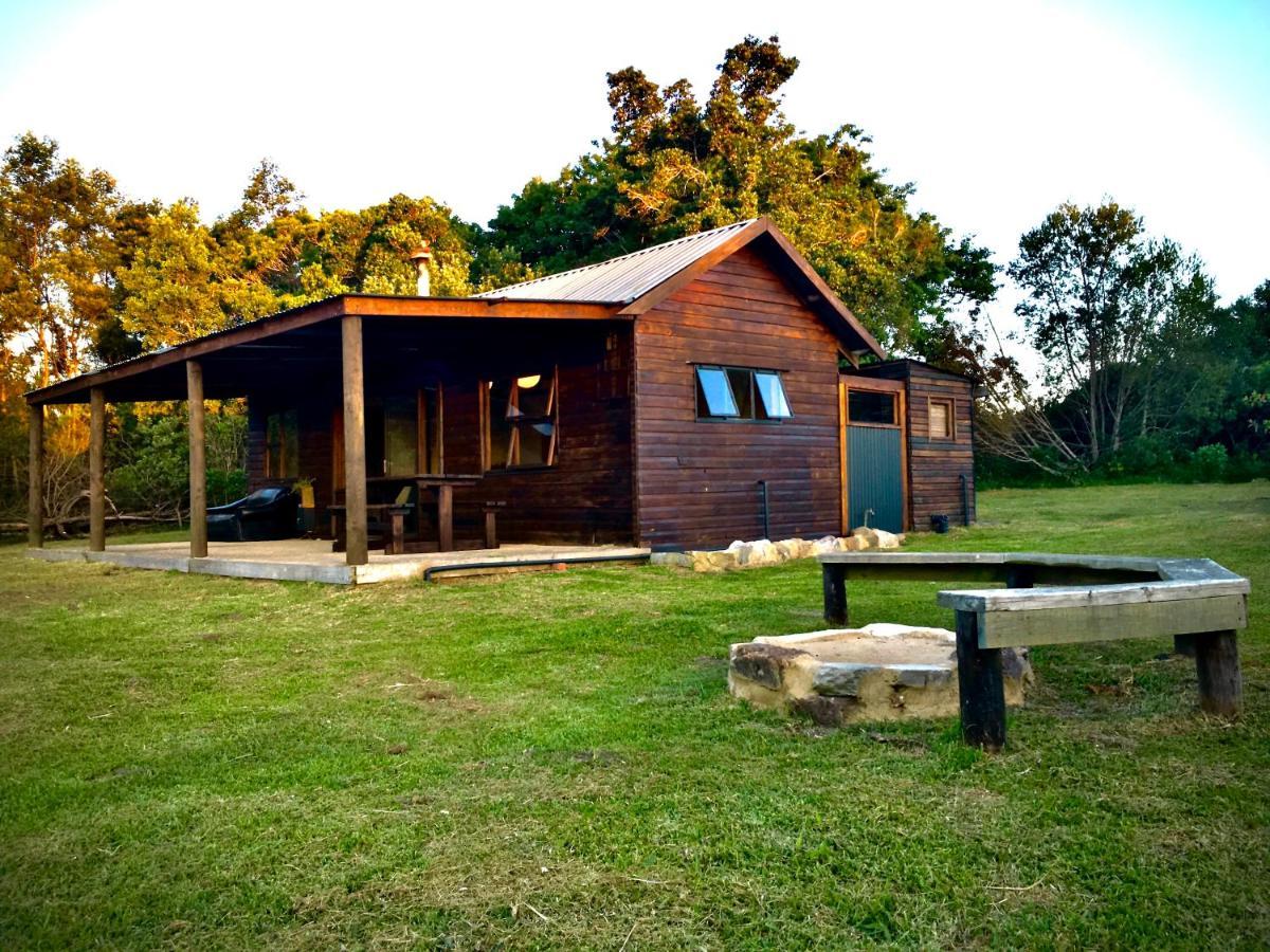 Pura Vida Forest Cabin Witelsbos 외부 사진