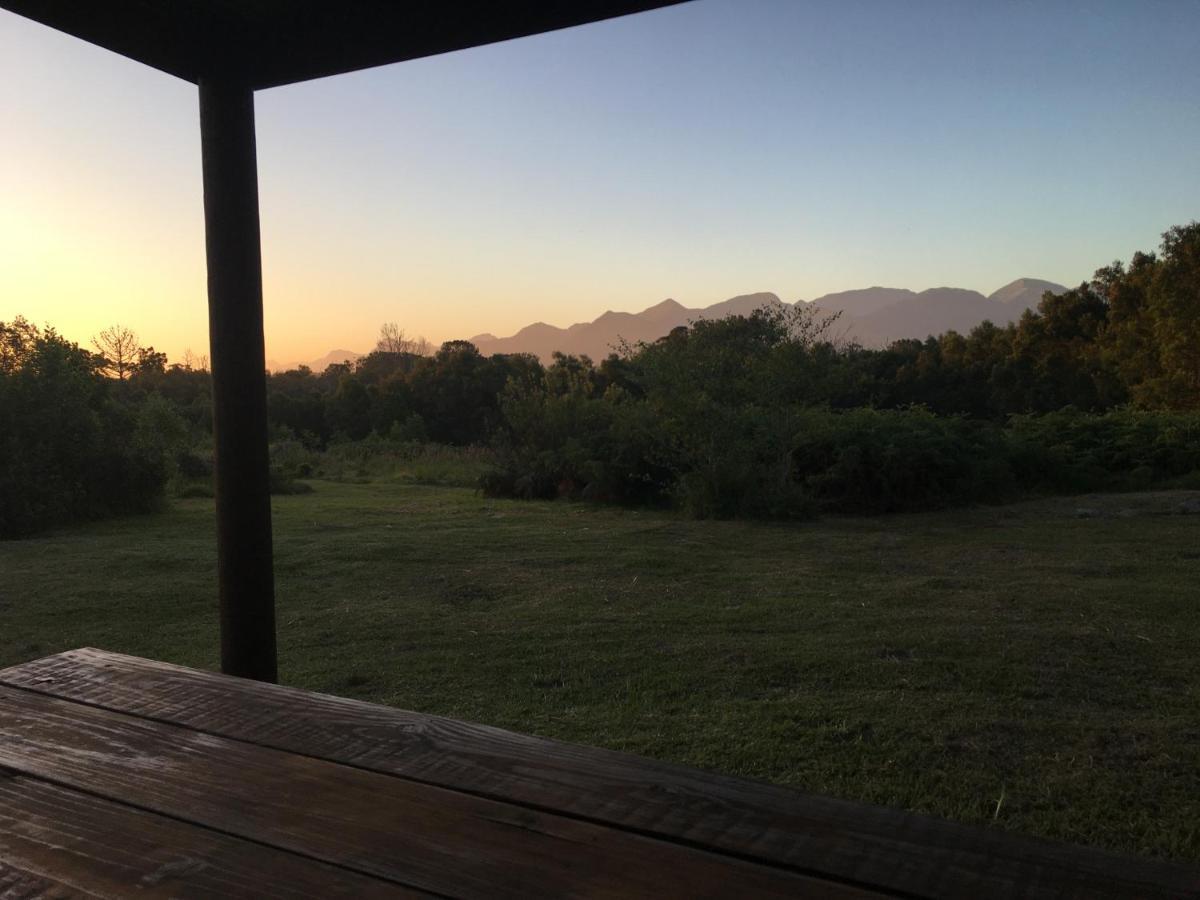 Pura Vida Forest Cabin Witelsbos 외부 사진