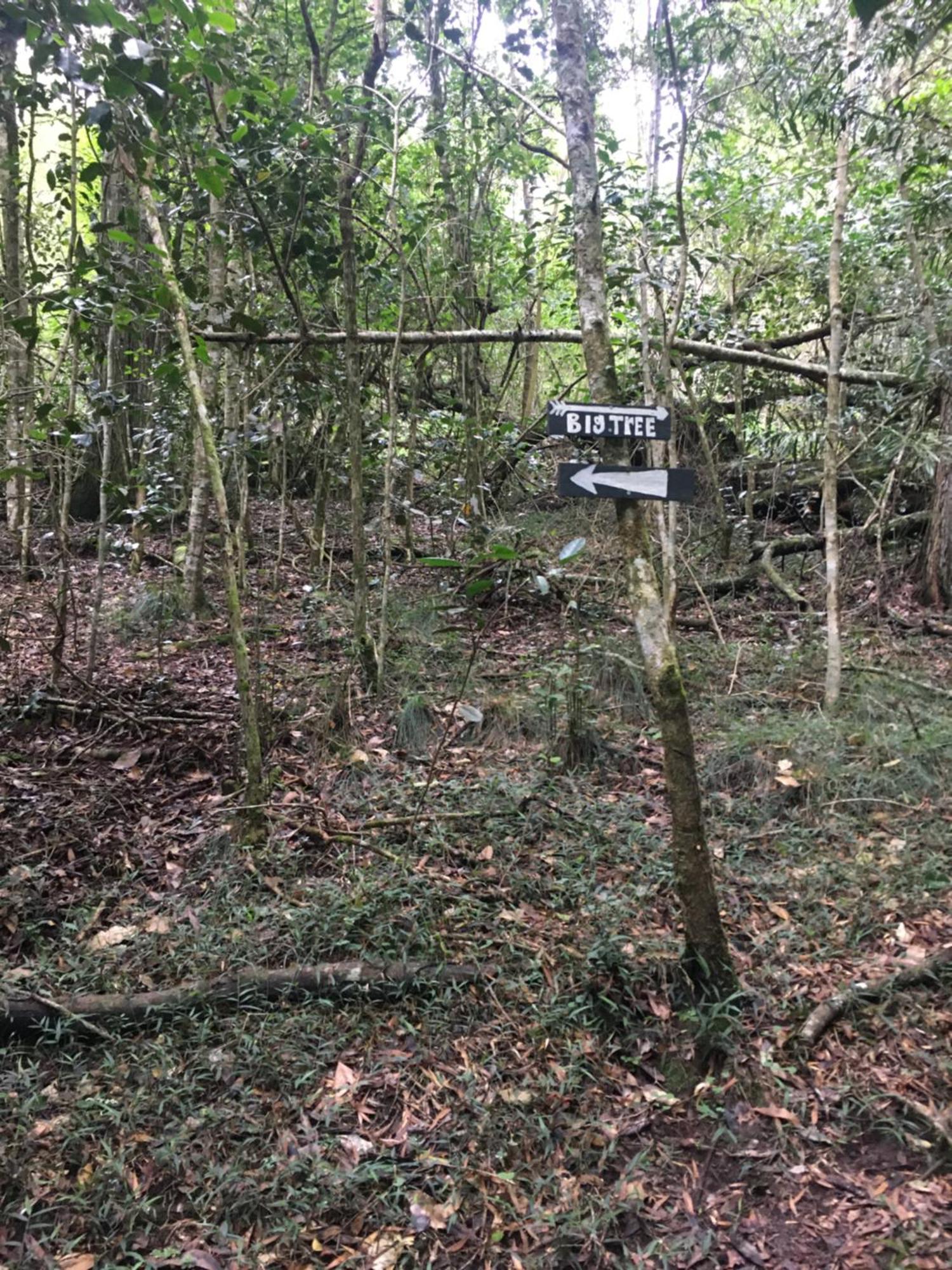 Pura Vida Forest Cabin Witelsbos 외부 사진